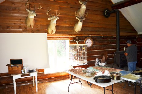 Lynis residence interior