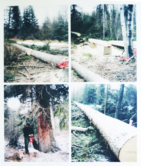 Images of Jack Lynis falling trees and hewing them with chainsaw only (courtesy of Jack Lynis)