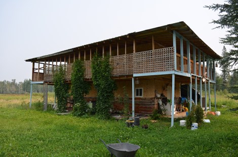 harry house angle shot