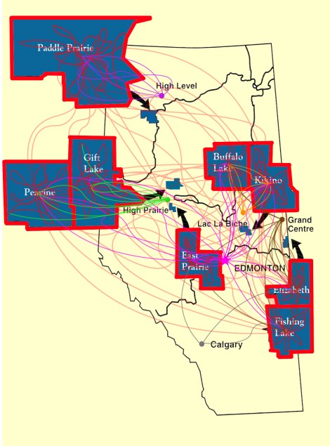 Graphic representation of the various linkages between the Alberta settlements and with neighbouring non-Métis communities 