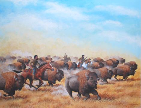 buffalo-hunt